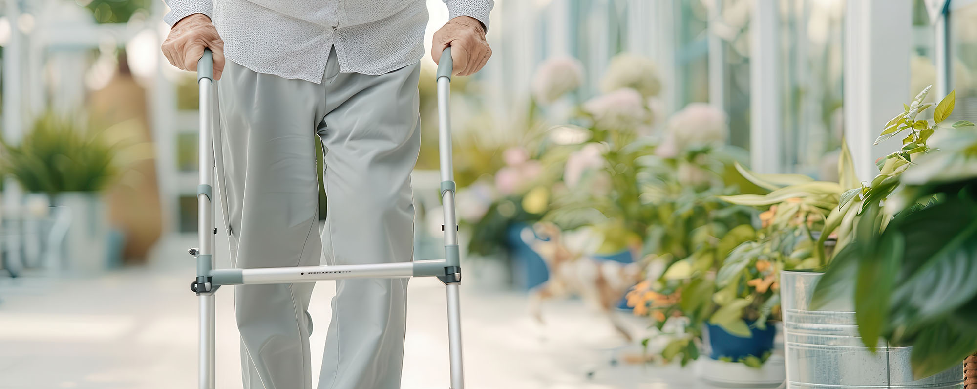Ältere Person mit einem Rollator in einem hellen Gewächshaus mit Pflanzen